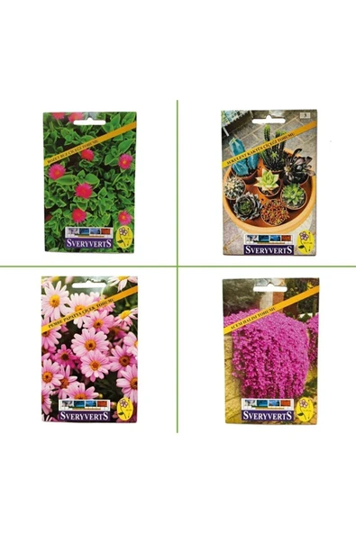 Vipfoni 4'lü Special Seri (rozet Buz - Sukulent Kaktüs - Pembe Papatya - Acem Halısı Çiçeği Tohumları) ürün görseli 1