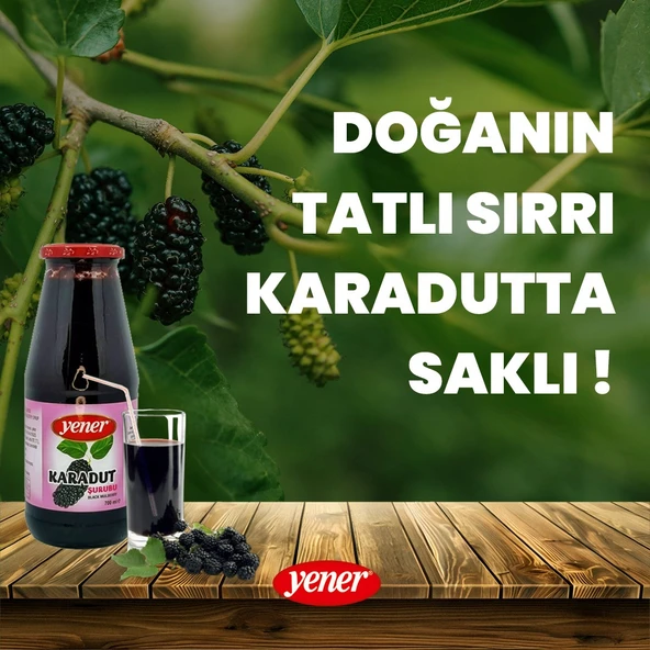 Yener Karadut Suyu 700 ml - Resim 2