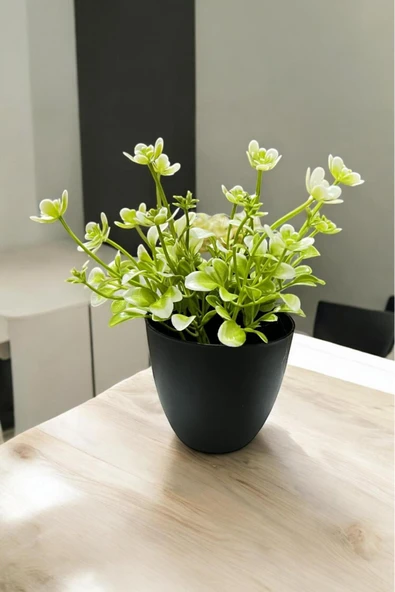 Akkoyunlu home Beyz Kır Çiçeği Yapay Çiçek Saksı ürün görseli 1