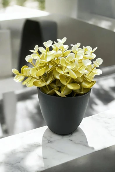 Sezka Life Yapay Gold Okaliptus Çiçeği Saksı ürün görseli 1