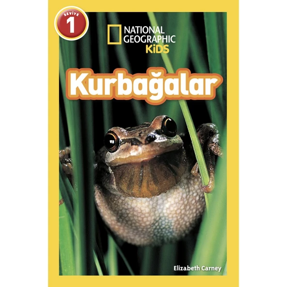 Kurbağalar ürün görseli 1