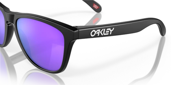 OAKLEY FROGSKINS - Resim 12