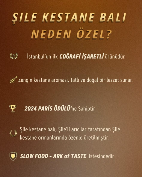 Ödüllü Şile Kestane Balı 750 g - Resim 2