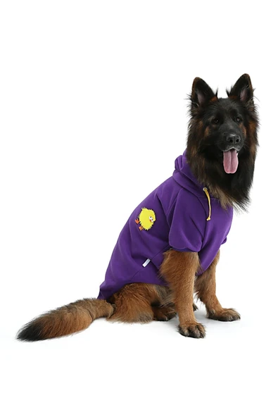 Büyük Irk Civciv Köpek Sweati-köpek Kiyafeti ürün görseli 1
