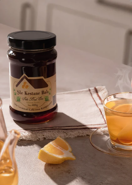 Ödüllü Şile Kestane Balı 400 g - Resim 3