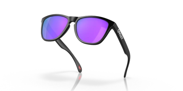 OAKLEY FROGSKINS - Resim 11