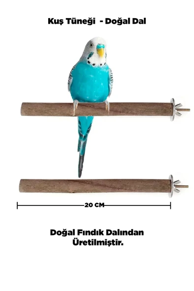 Doğal Ahşap Kuş Tüneği 20 Cm - Gerçek Fındık Dalı ürün görseli 1