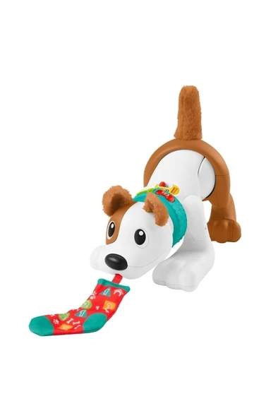 FISHER PRICE Emeklemeyi Ve Saymayı Öğreten Köpekçik ürün görseli 1