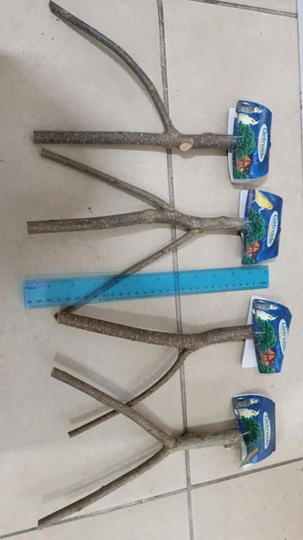Netx Doğal Ahşap Dal Tünek 30 cm ürün görseli 1