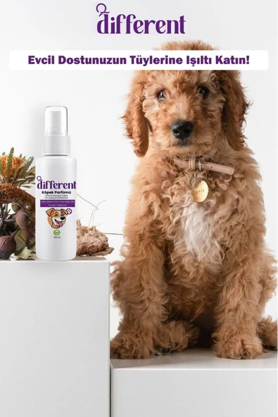 DİFFERENT PROFESİONAL Köpek parfümü 175 ml - Resim 2