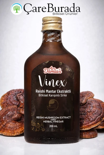 ÇareBurada Reishi Mantar Ekstraktlı Sirke 200 ml ürün görseli 1