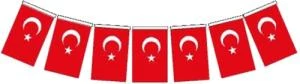Vatan Kağıt Bayrak Türk İpli 50 Lİ Büyük VT809 ürün görseli 1