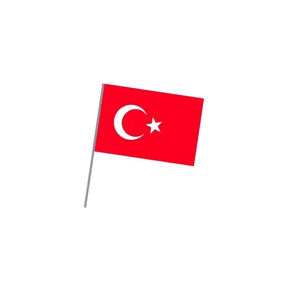 Vatan Bez Bayrak Sopalı 20x30 VT225 ürün görseli 1