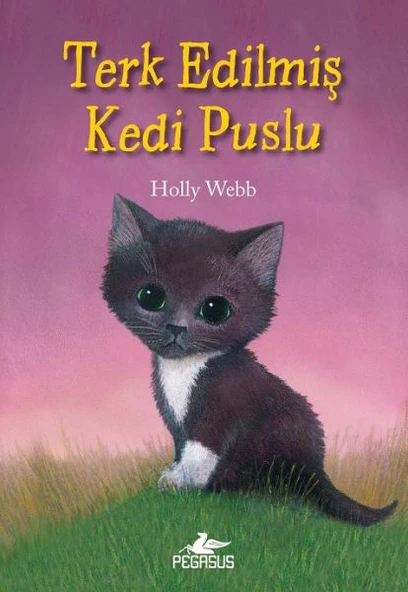 Terk Edilmiş Kedi Puslu ürün görseli 1