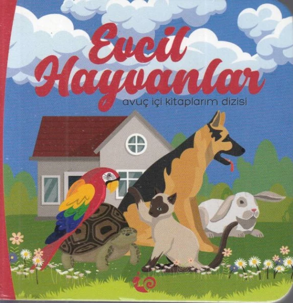 Evcil Hayvanlar - Avuç İçi Kitaplarım Dizisi ürün görseli 1