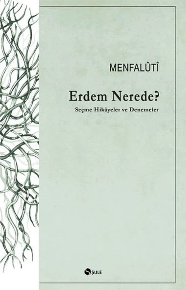 Erdem Nerede? Seçme Hikayeler ve Denemeler ürün görseli 1