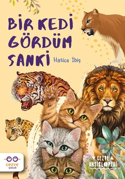Bir Kedi Gördüm Sanki ürün görseli 1