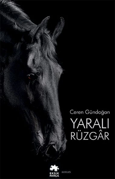 Yaralı Rüzgâr ürün görseli 1