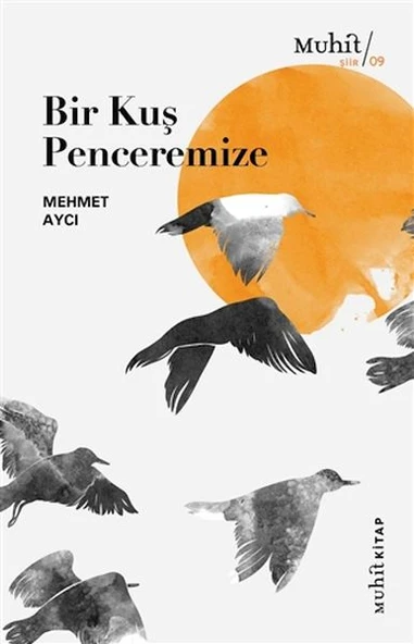 Bir Kuş Penceremize ürün görseli 1