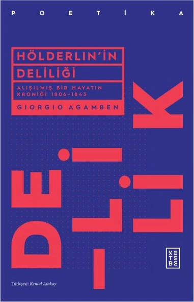 Hölderlin'in Deliliği ürün görseli 1