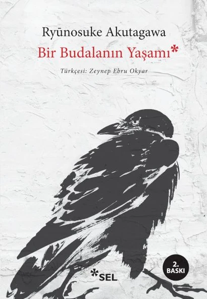 Bir Budalanın Yaşamı ürün görseli 1