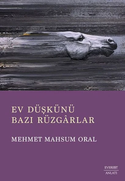 Ev Düşkünü Bazı Rüzgarlar ürün görseli 1
