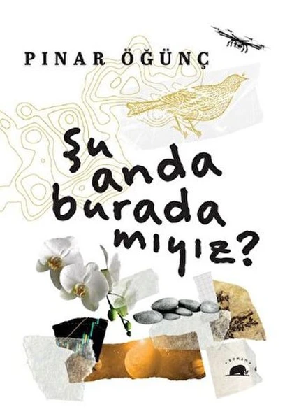 Şu Anda Burada Mıyız? ürün görseli 1