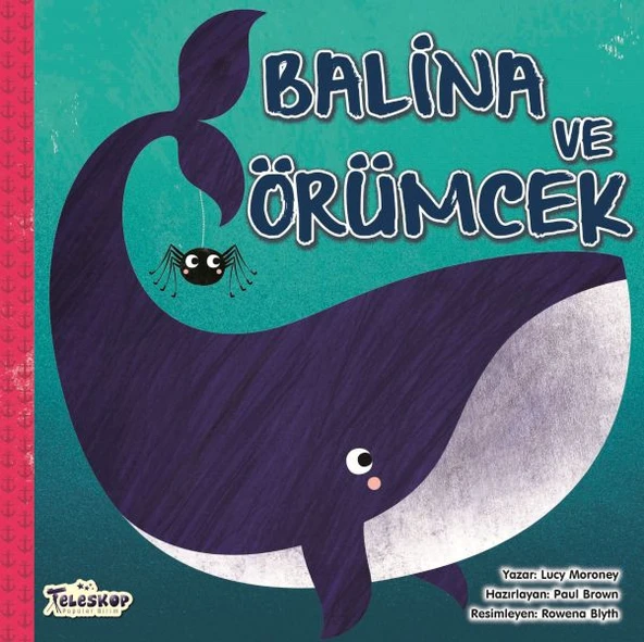 Balina Ve Örümcek ürün görseli 1