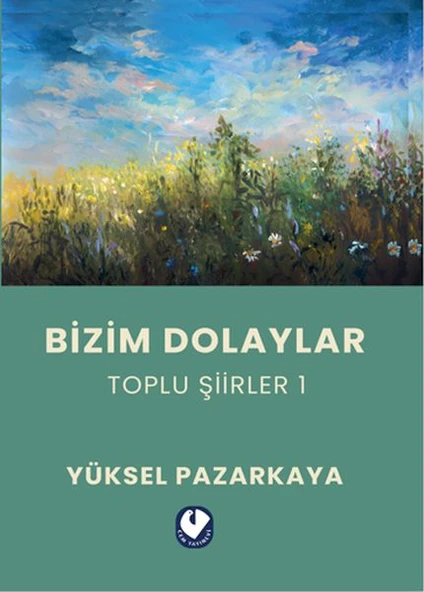 Bizim Dolaylar ürün görseli 1
