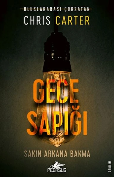 Gece Sapığı (Robert Hunter - 3) ürün görseli 1
