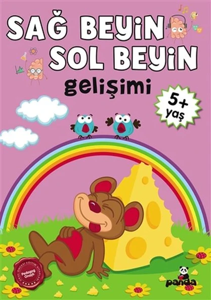 5 Yaş Sağ Beyin-Sol Beyin Gelişimi ürün görseli 1