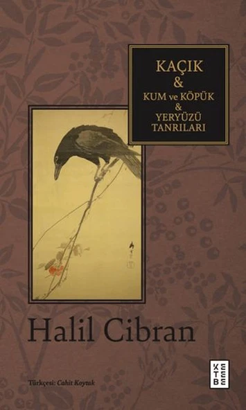 Kaçık & Kum ve Köpük & Yeryüzü Tanrıları ürün görseli 1