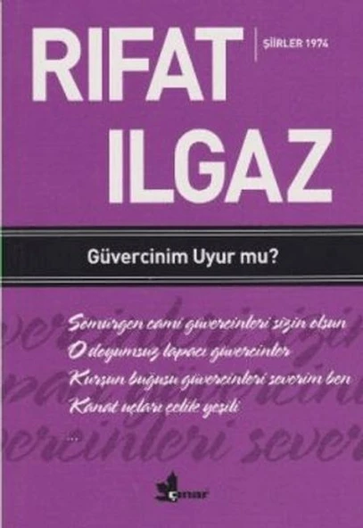 Güvercinim Uyur mu ? ürün görseli 1