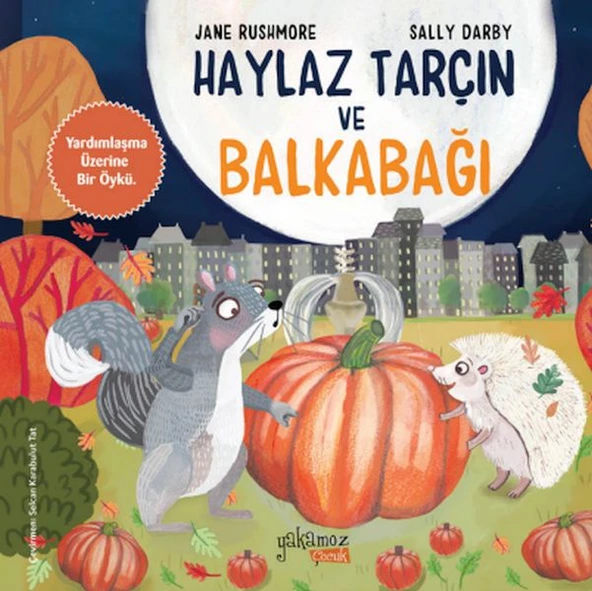Haylaz Tarçın ve Balkabağı ürün görseli 1