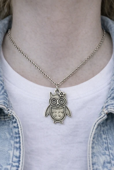 Owl Charm – Baykuş Figürlü Unisex Kolye (60 cm Zincir) ürün görseli 1