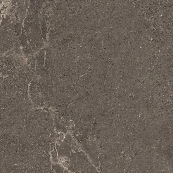 VitrA 60x60 Meteorite Fon Vizon R10B Porselen Karo K953498R0001VTE0 ürün görseli 1