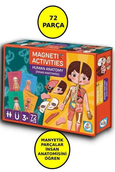 Manyetik Eğitici İnsan Anatomisi İnsan Vücudu Aktivite Oyun Seti - 72 Parça ürün görseli 1