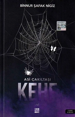 Kehf Asi Çakıltaşı Serisi 1 Binnur Şafak Nigiz Dokuz Yayınları - İKİNCİ EL KİTAP ürün görseli 1