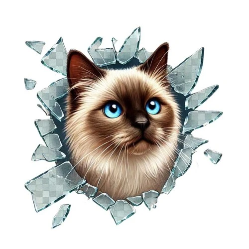 Fulcar Siamesse Araç Stickerı - Resim 3