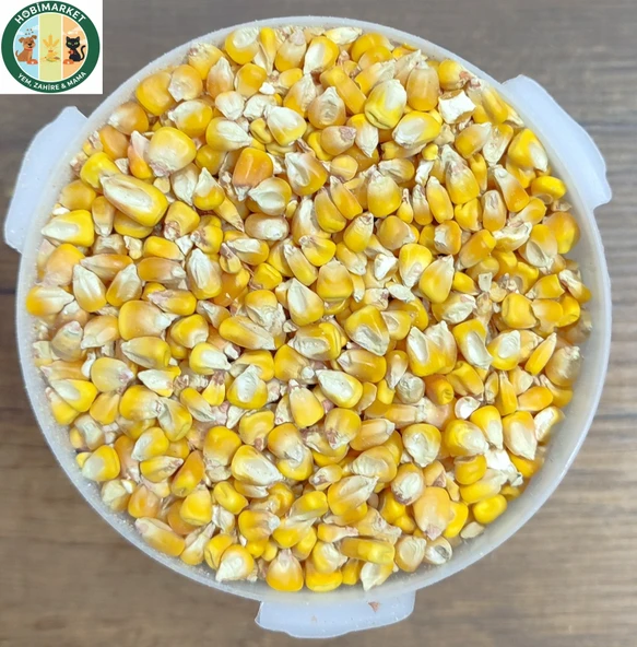 Mısır Tane 1 Kg Yemlik ürün görseli 1