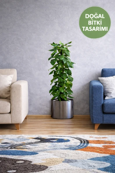 Bitki Tasarımlı Duvar Sticker 90x30 cm – Saksılı Yeşil Yapraklı Dekoratif Duvar Süsü ürün görseli 1