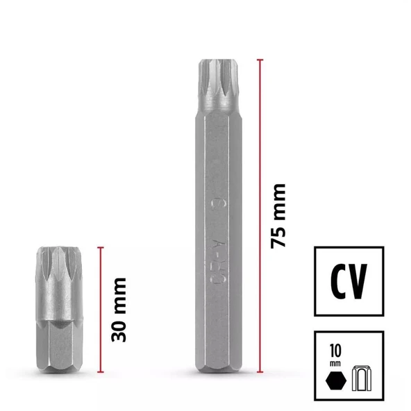 Einhell XL-CASE 40 Parça Otomotiv Uç Seti 49109032 - Resim 5