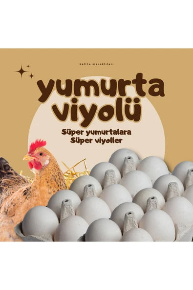 Kalite Meraklıları (40 Adet)30'lu Karton Yumurta Viyolü (40 Adet 17lbs)- Víyol Toptan ürün görseli 1