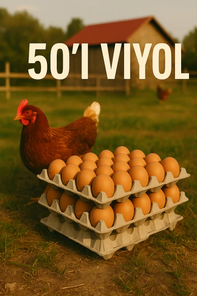 Kalite Meraklıları 20 LBS YUMURTA VİYOLÜ NATUREL RENK 30'LU (100 ADET) yumurta kutusu pakedi kartonu ürün görseli 1