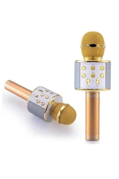 Karaoke Mikrofon Dahili Hoparlörlü Sd-usb-aux Girişli Bluetooth Hoparlör P126209S1307 ürün görseli 1