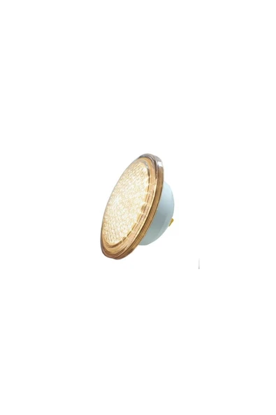 32 Watt Gün Işığı Smd Led Havuz Ampulu / Par 56 ürün görseli 1