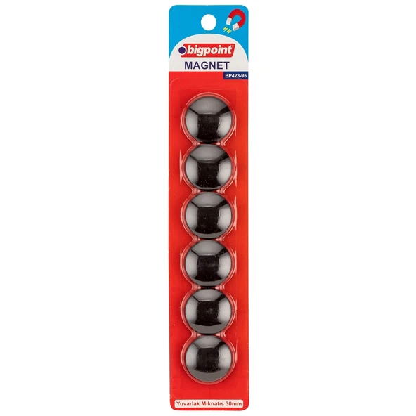Bigpoint Magnet 30mm (Mıknatıs) Siyah 6'lı Blister x 12 Blister ürün görseli 1