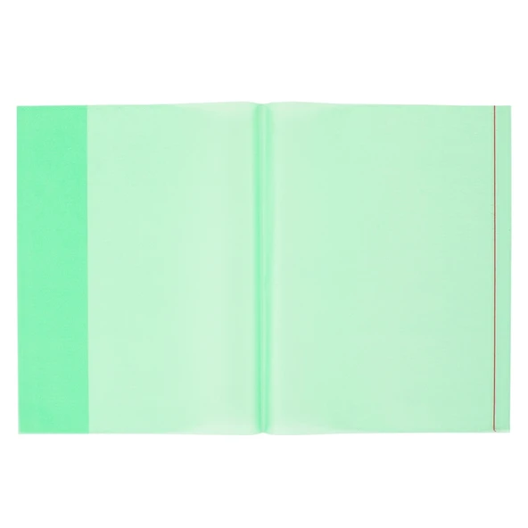 Bigpoint A4 Hazır Defter Kabı 10'lu Paket Yeşil x 25 Paket ürün görseli 1