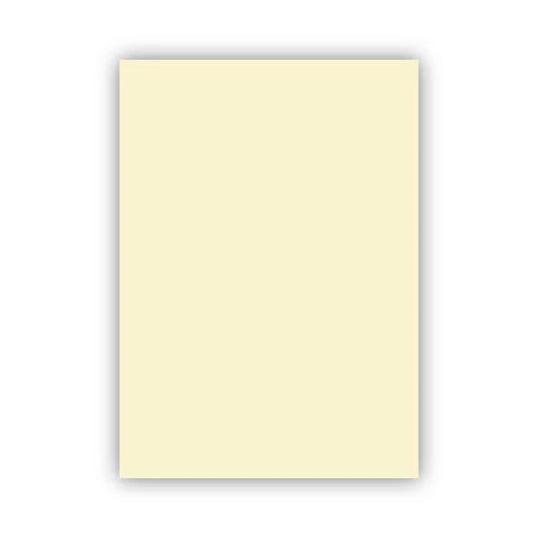 Bigpoint Fon Kartonu 50x70cm 160 Gram Fildişi x 100 Adet ürün görseli 1