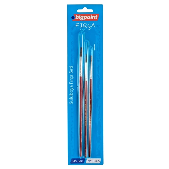 Bigpoint 145 Serisi Yuvarlak Fırça Seti 1-3-5 3'lü Blister x 6 Blister ürün görseli 1